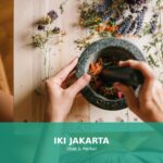 Gambar berbagai herbal yang meningkatkan daya tahan tubuh alami