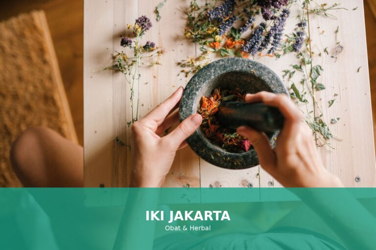 Gambar berbagai herbal yang meningkatkan daya tahan tubuh alami