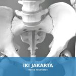 Ilustrasi tulang sehat untuk menggambarkan pentingnya kesehatan tulang
