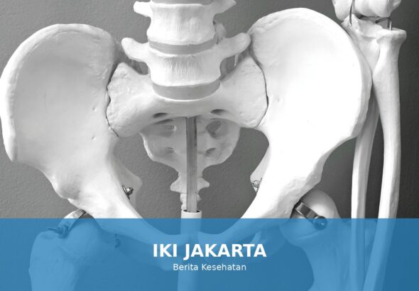 Ilustrasi tulang sehat untuk menggambarkan pentingnya kesehatan tulang