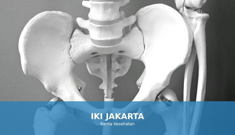 Ilustrasi tulang sehat untuk menggambarkan pentingnya kesehatan tulang