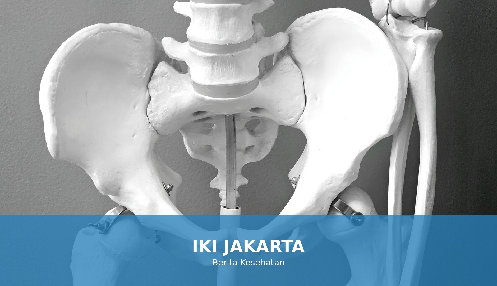 Ilustrasi tulang sehat untuk menggambarkan pentingnya kesehatan tulang