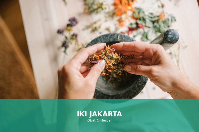 Gambar tanaman herbal yang digunakan untuk kesehatan dalam konteks pengobatan herbal di Indonesia