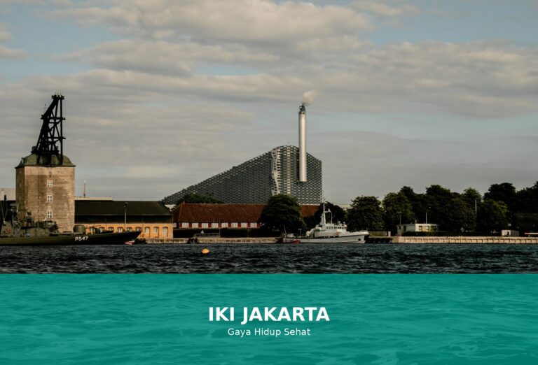Ilustrasi kebiasaan sehat untuk meningkatkan energi