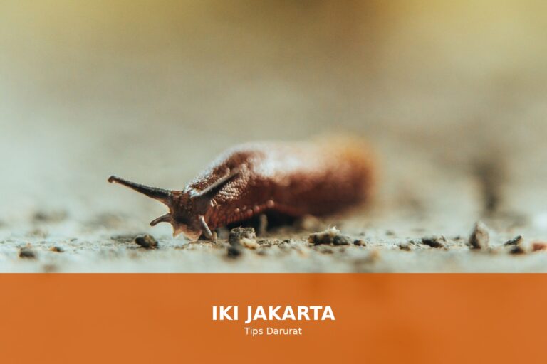 Ilustrasi cara mengatasi mual secara darurat dengan berbagai cara alami