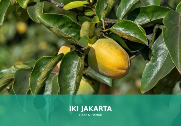 Ilustrasi kaki kram yang sedang diregangkan untuk mengurangi ketegangan