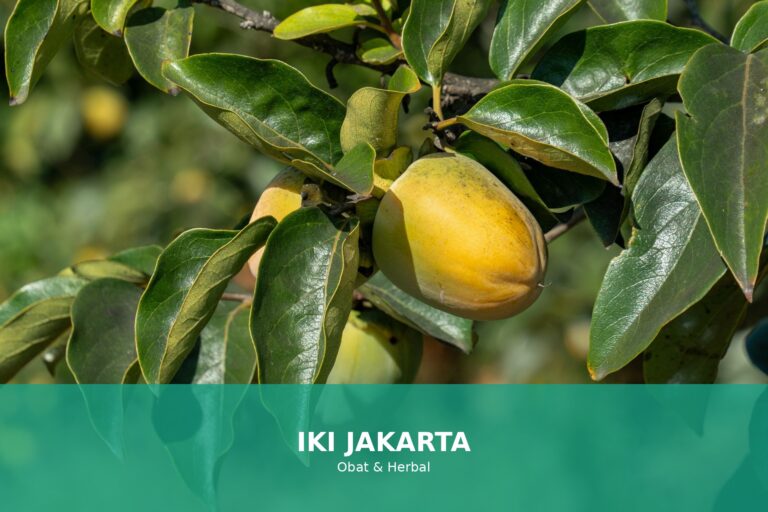 Ilustrasi kaki kram yang sedang diregangkan untuk mengurangi ketegangan
