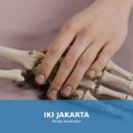 Ilustrasi kesehatan tulang yang kuat dan sehat