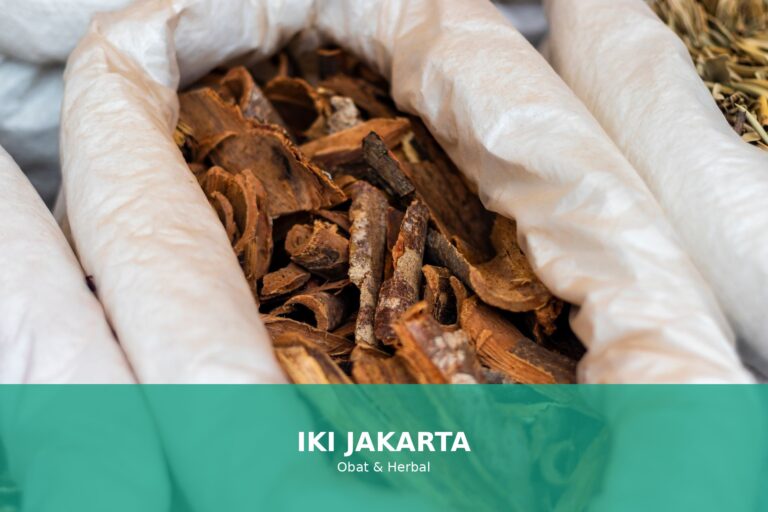 Gambar berbagai jenis obat herbal yang digunakan untuk kesehatan