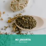 Gambar obat herbal untuk masalah pencernaan
