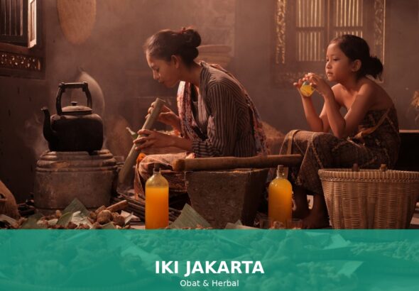 Gambar obat herbal untuk masalah pencernaan seperti jahe, peppermint, kunyit, lidah buaya, dan biji fenugreek.