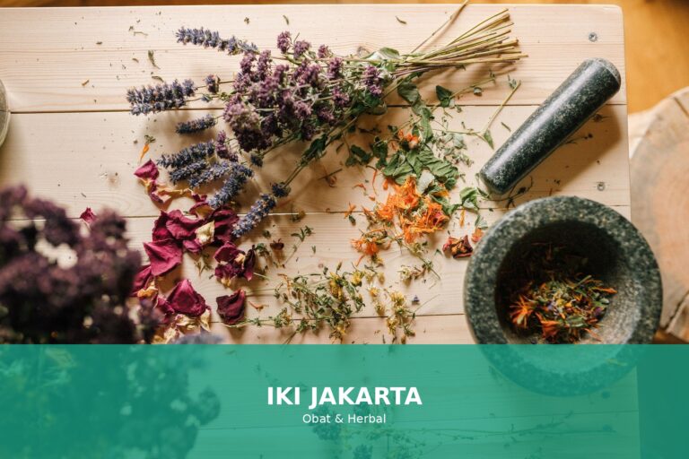 Tanaman herbal yang meningkatkan daya tahan tubuh secara alami