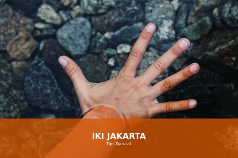 Gambar luka bakar dan pertolongan pertamanya